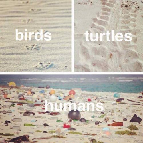 We can do better than this... agree?